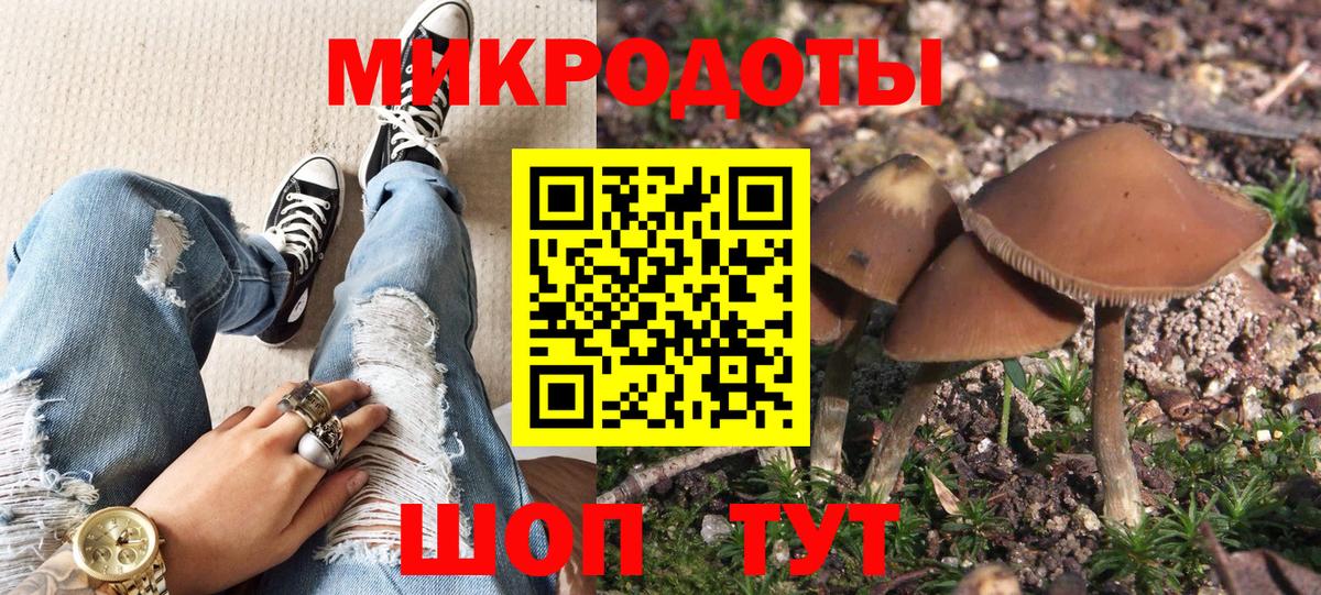 Псилоцибиновые грибы Psilocybine cubensis Челябинск