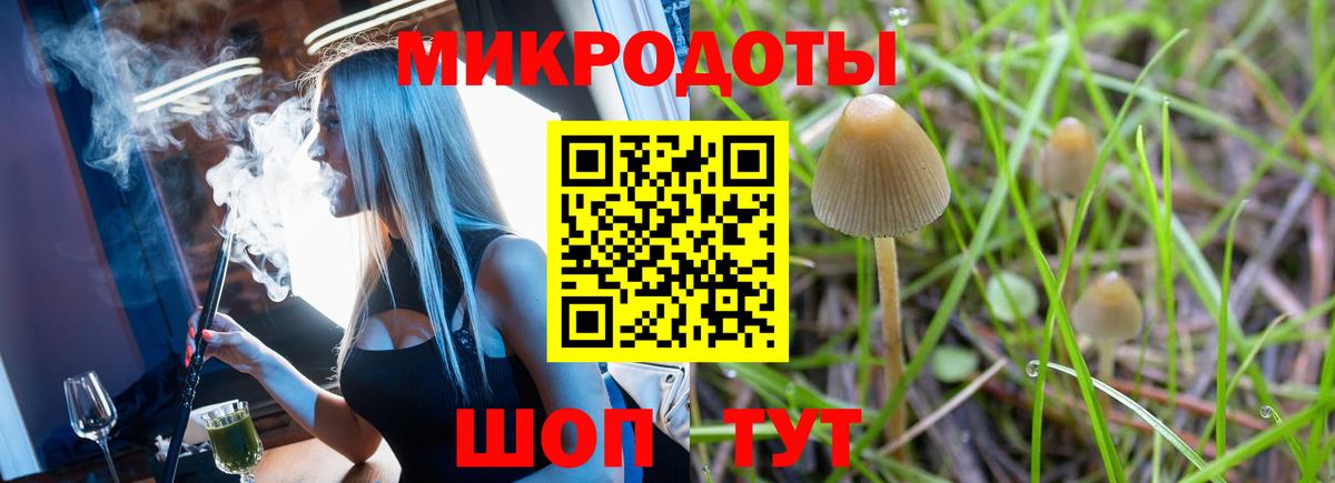 Челябинск  что такое наркотик  Вход с VPN  Псилоцибиновые грибы Magic Shrooms  Галлюциногенные грибы мицелий 
